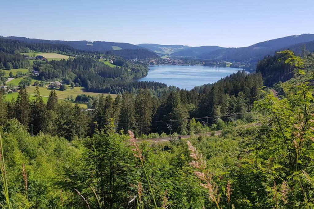 Апартаменты Black Forest Schwarzwaldblick Indoorpool Natur Ruhe Komfort Хёхеншванд Экстерьер фото