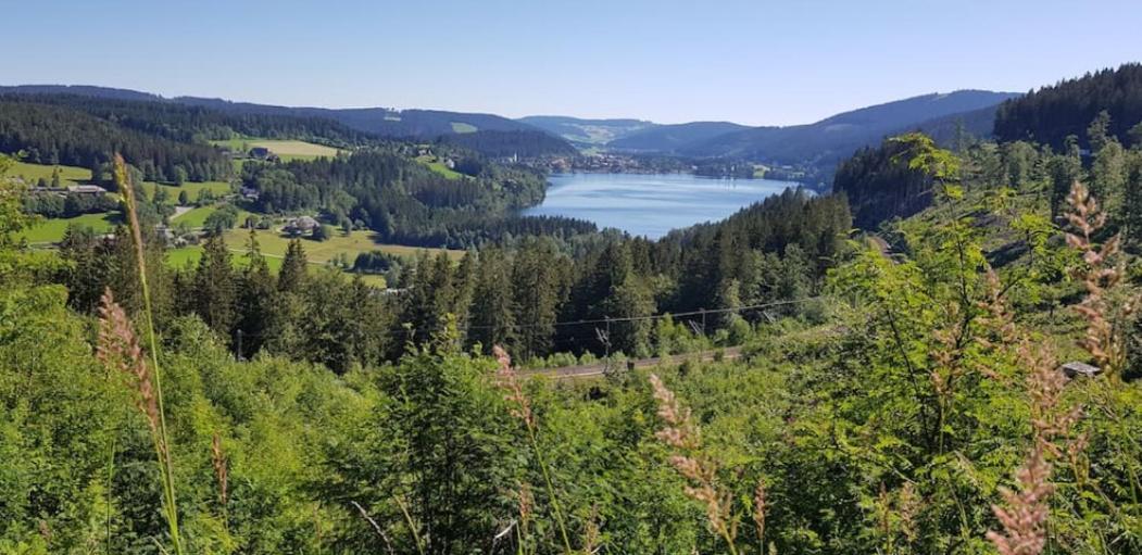 Black Forest Schwarzwaldblick Indoorpool Wifi Natur Komfort Хёхеншванд Экстерьер фото